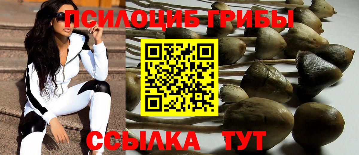 Тутаев  Вход с VPN  Альфа ПВП СК   Меф МЯУ МЯУ   ГАШ 