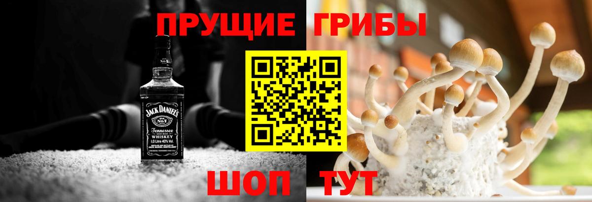 Галлюциногенные грибы ЛСД  Галлюциногенные грибы прущие грибы  Вход с VPN  Тутаев 